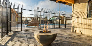 The McKenzie Gallery 18