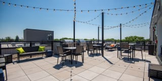 The Grove Gallery 52