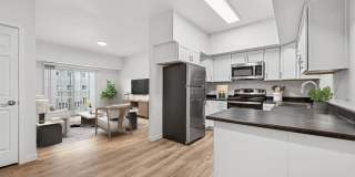 Remington Village Gallery 1