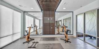 Haven at Charlotte Gallery 23