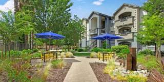 Broadleaf Apartments Gallery 37