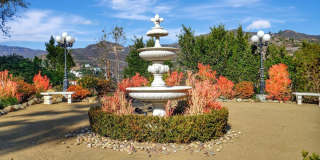 27425 Calicut Rd Gallery 50