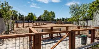 Lumina Apartments Gallery 18