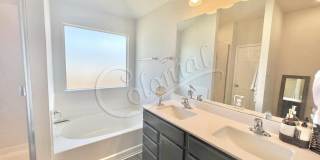 1307 Cesarina St. Gallery 18