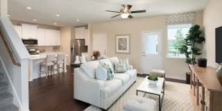 Contemporary Luxury in Austin’s 51 East Community | Stylish Living at 5301 Cobalt Canopy Bend Gallery 6