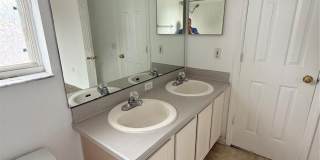 2918 BLOOMING ALAMANDA Loop Gallery 21