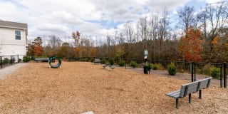 Gibson Flowery Branch Gallery 24