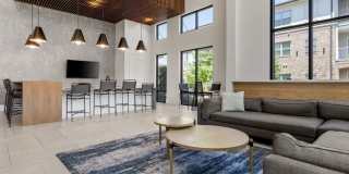 Alleia Presidio Gallery 10