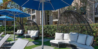 Town Center Crossing Gallery 6