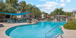 Silverbell Springs Gallery 5