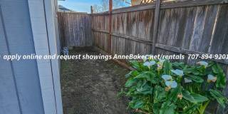Recently Updated - Newer Appliances, Flooring, Fixtures - 3-Car Garage - Windsor Gallery 32