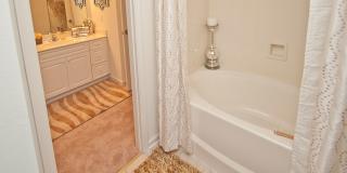 Palmetto Creek Gallery 10