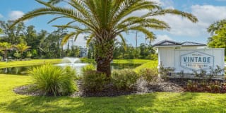 Vintage Amelia Island Apartments Gallery 95