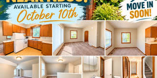 3 bed, 1 bath near NDSU! MOVE IN TODAY! Gallery 1