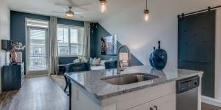 West Mockingbird Gallery 4