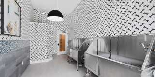 The Ivy Gallery 29