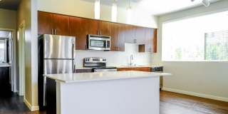 Elan Redmond Gallery 16