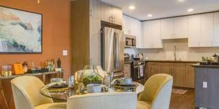 Solterra at Civic Center Gallery 1