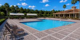 15246 HARRINGTON COVE Drive Gallery 44