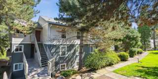 Skyline at Murrayhill Gallery 36