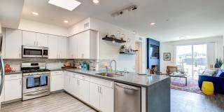 NOHO 55 Luxury Living Gallery 5