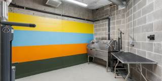 Lark Gallery 14