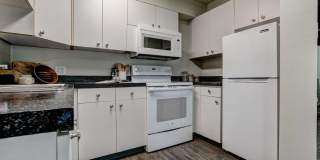 Bears Village Gallery 10