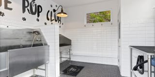 Station 117 Gallery 19