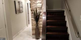 8233 LYNDHURST Street Gallery 1