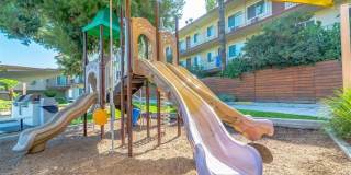 Citrus Court Apartments Gallery 5