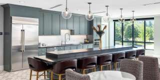 Avidor Omaha Gallery 9