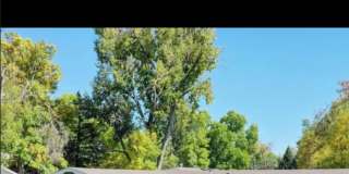 1036 Ponderosa Drive Gallery 6