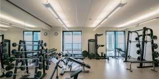 1 BEACH Drive SE Gallery 24