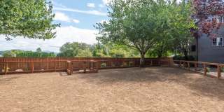 Mountain Meadows Gallery 27