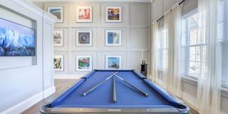 The Napier Gallery 10