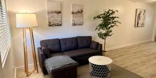 3301 East Earll Drive Gallery 1