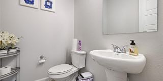 1817 Marvin Garden Trail Gallery 19