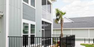 Palm Grove Gallery 2