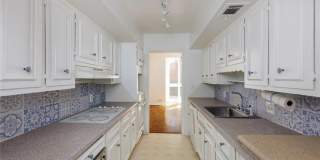 49 Willow Glen Gallery 10