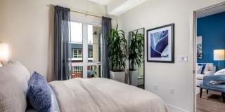 Azara Gallery 44