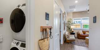 Yardly Beltmill Yardly Beltmill Gallery 25