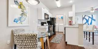 Vista Lake Ned Gallery 5