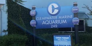 255 Dolphin Point Gallery 25