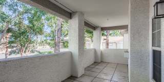 Springs at Alta Mesa Gallery 100
