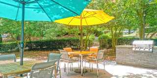 The Summit at Rock Hill Gallery 10