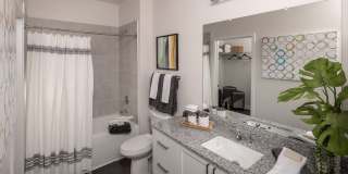 Prose Lakeside Gallery 19