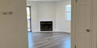 Wedgewood Apartments Gallery 6