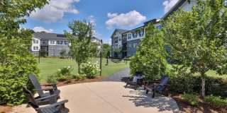 The Aster Gallery 31