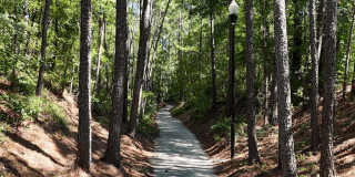 West Winds Townhomes Gallery 16