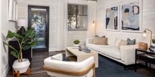 Locklyn West Palm Gallery 2